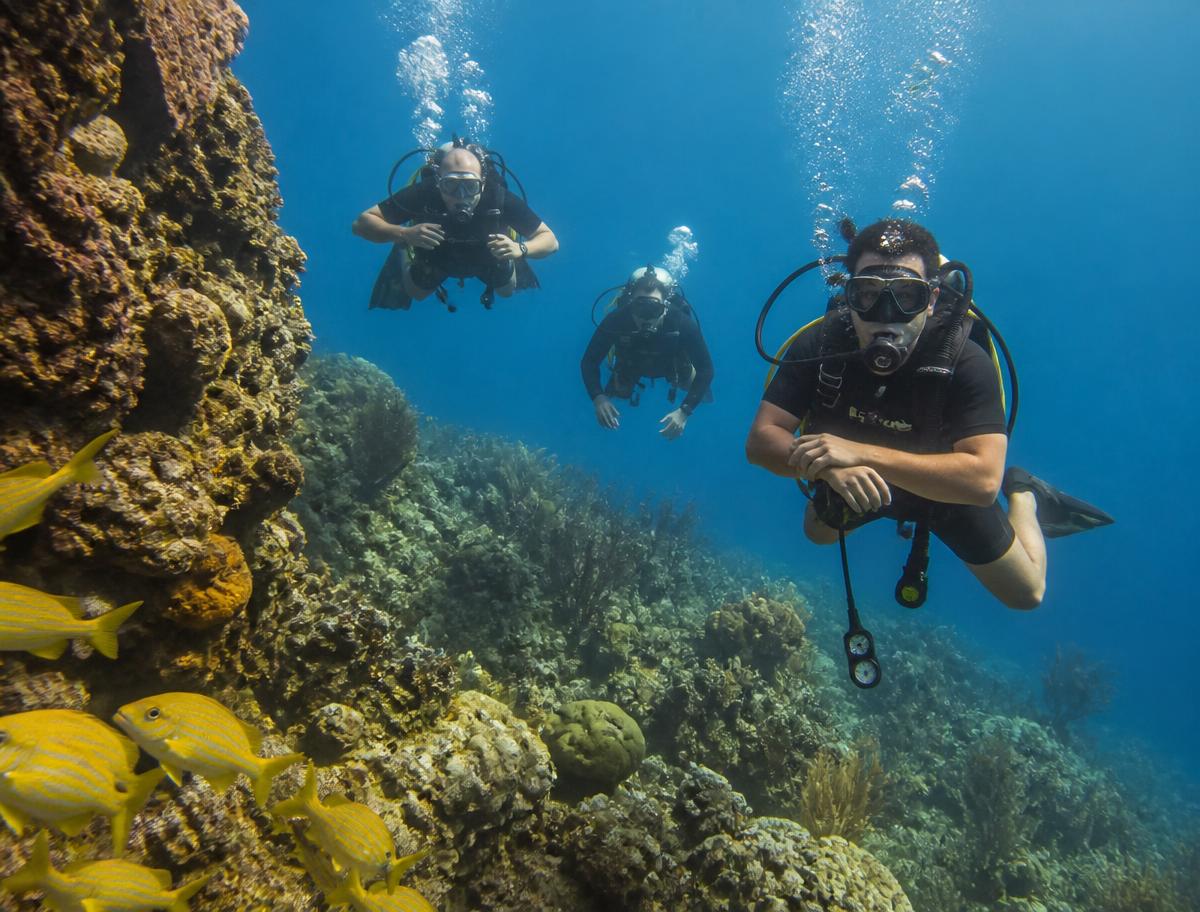 Catalina Island Two-Tank Scuba Diving