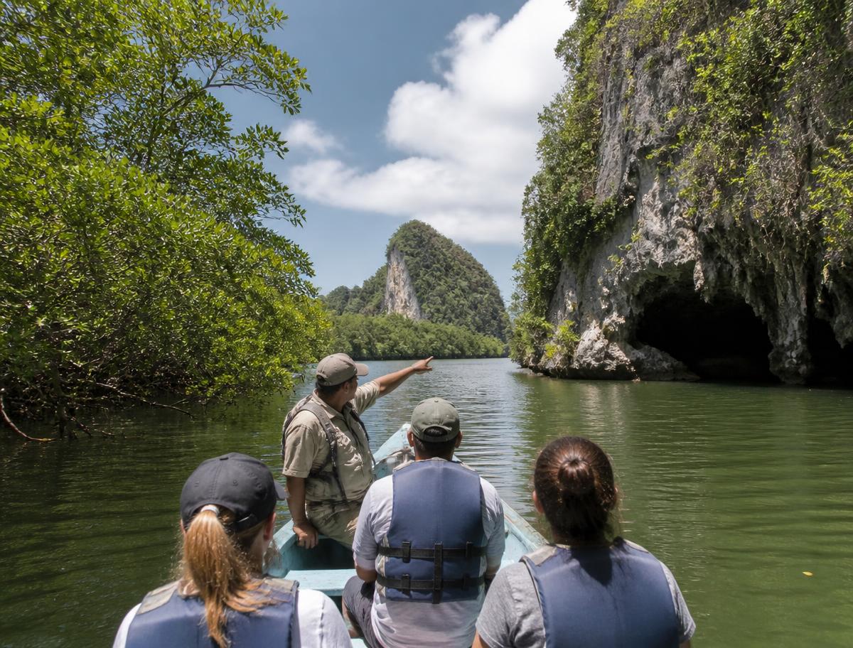 Los Haitises Mangroves, Caves & Taino Art view 1