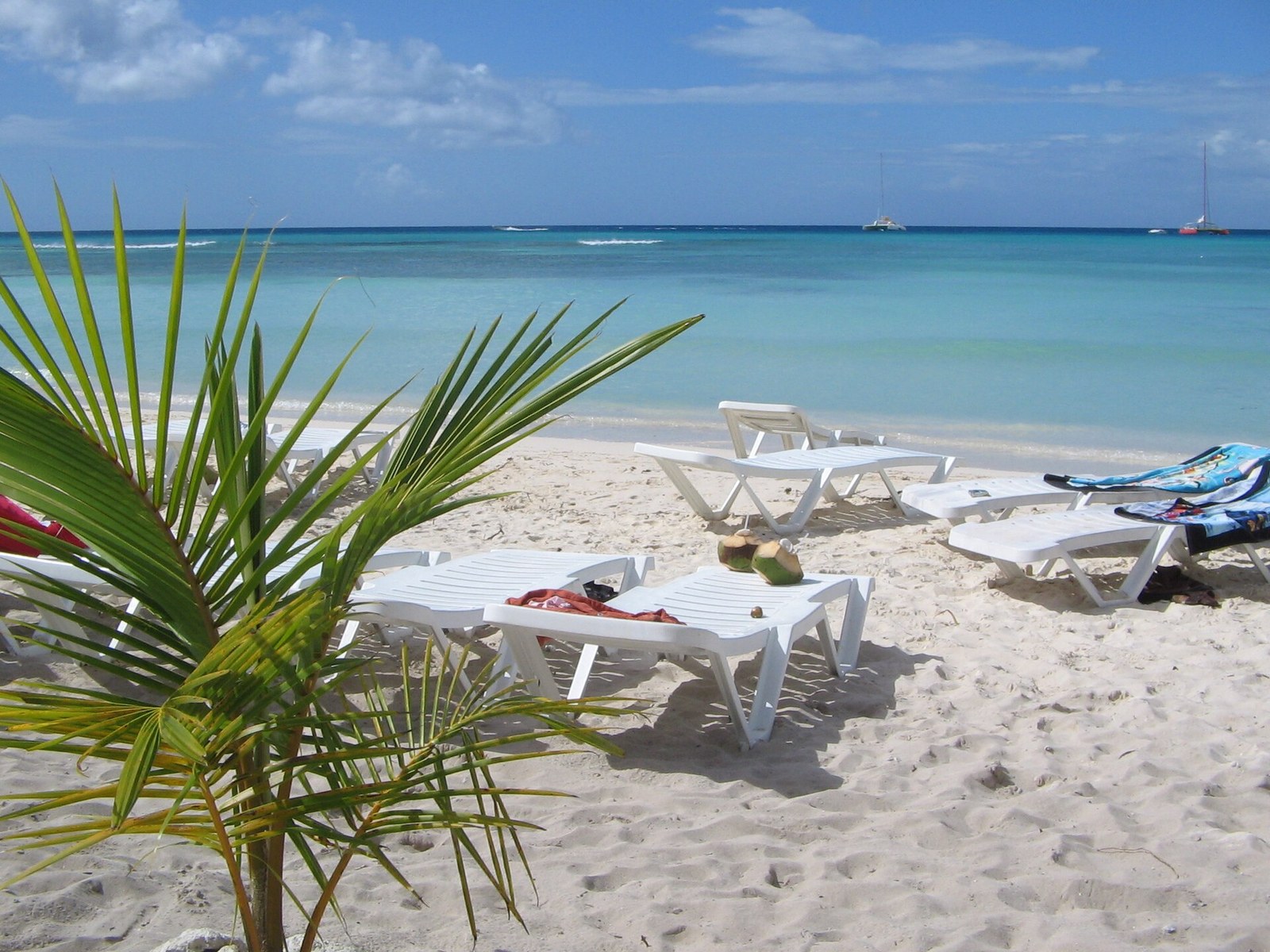 Saona Island Premium: Beach, Natural Pool & Lunch view 1